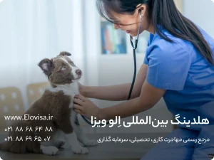 7 کشور خوب برای مهاجرت دامپزشکان