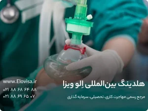 بهترین کشورها برای مهاجرت کارشناسان هوشبری