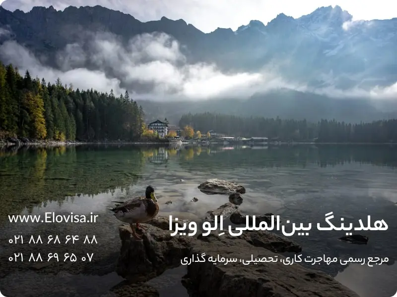 بررسی جامع مزایا و معلیب کار در آلمان